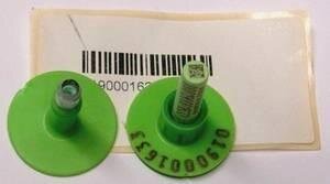 Nachbeprobung_gruene_Ohrmarken